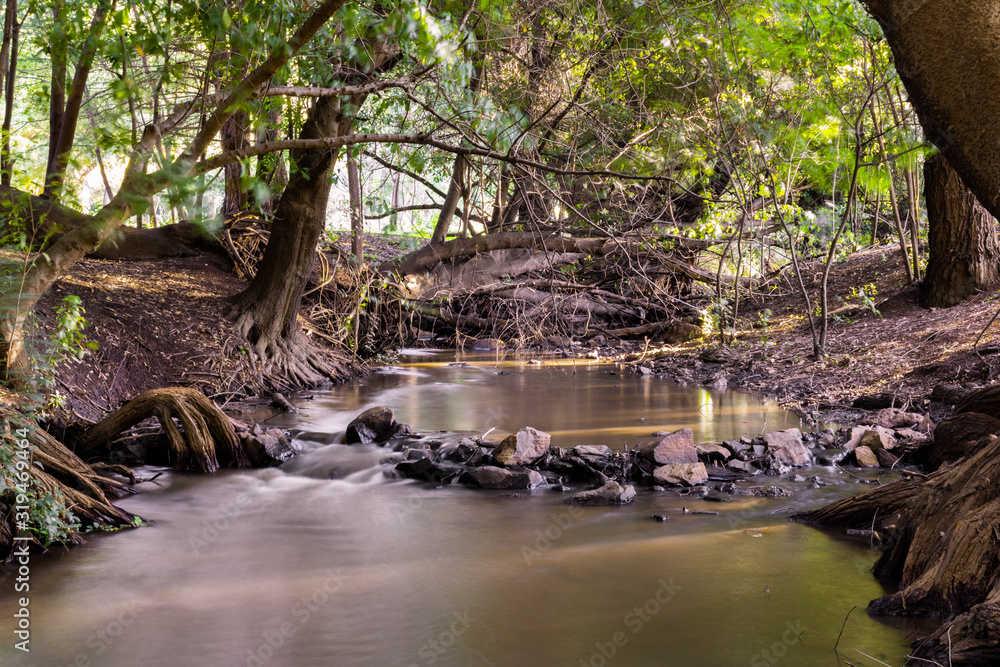 Long exposure picture of a stream flowing with rocks and natural light Long exposure picture of a stream flowing with rocks and natural light