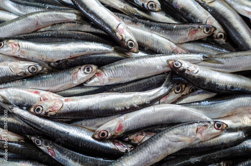 Fresh anchovy fish on the supermarket