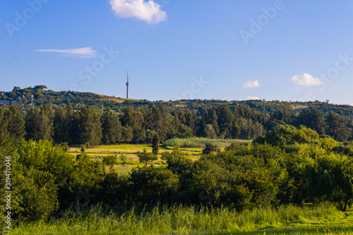 Landscape of the lush green botanical gardens in Johannesburg