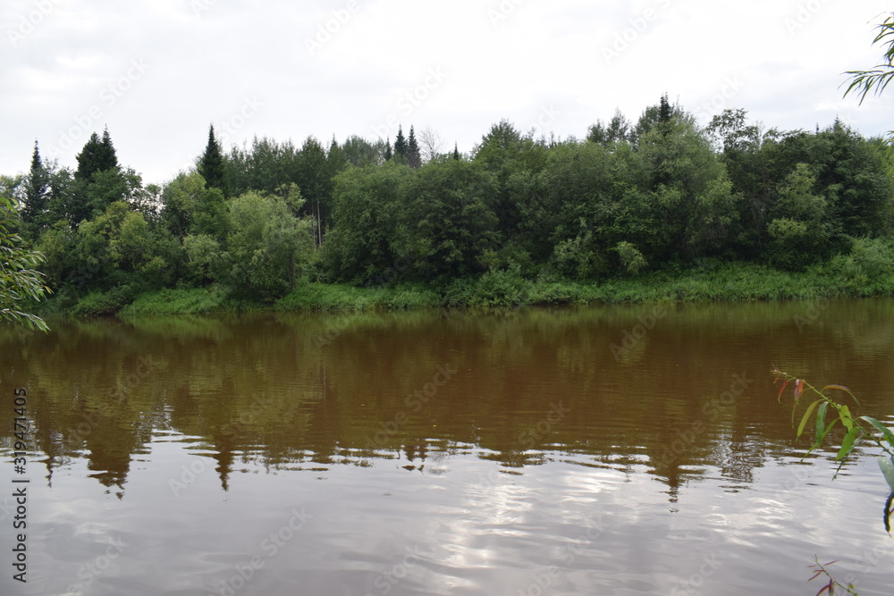 Obraz premium lake in forest