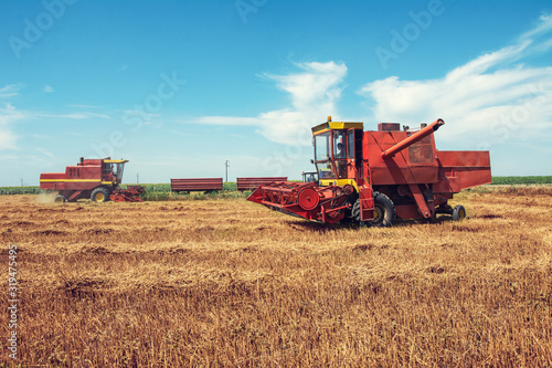 Combine harvesting in a field of golden wheat.