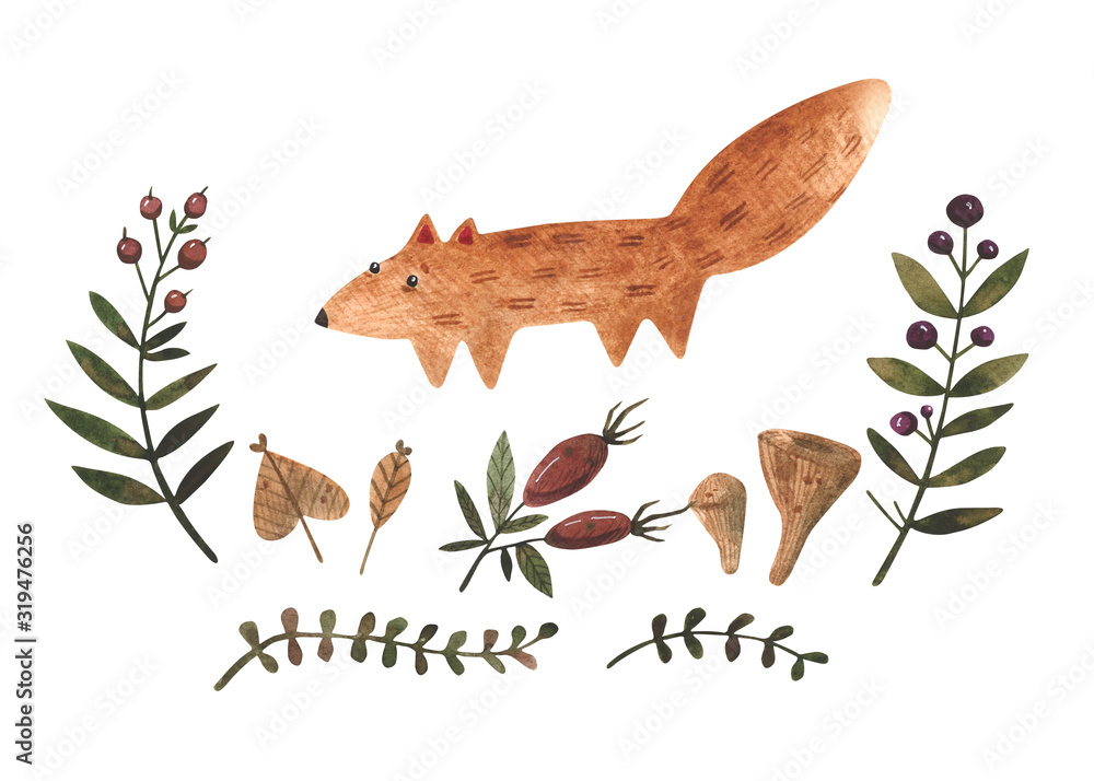 Watercolor set of wild fox and forest herbs. Leaves, mushrooms and ...