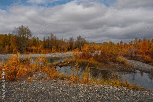 Russia. Far East. The colours of autumn are cold-water rivers of Magadan.