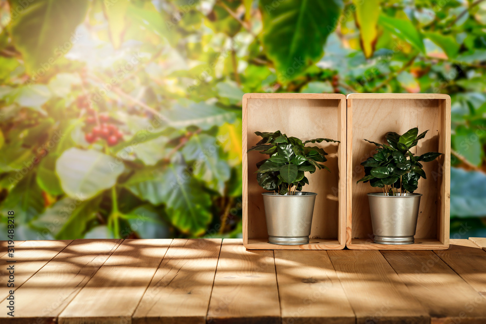 Desk of free space and coffee plantation Desk of free space and coffee plantation