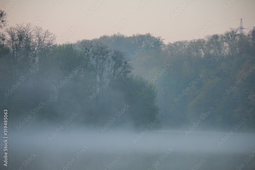 Sunrise on a foggy morning at Swamp - obrazy, fototapety, plakaty 