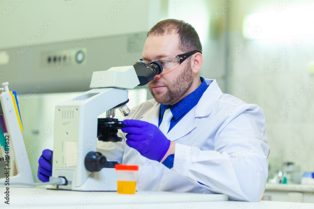 Laboratory worker performing urinalysis using microscope and laboratory
