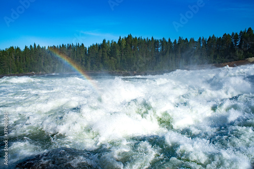 Storforsen river Sweden. Nature reserve on sunny summer day in Swedish lapland with Big river, rapids and waterfall.