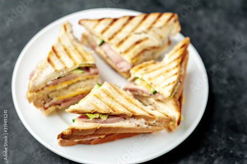 tasty sandwiches on a white plate on a stone background