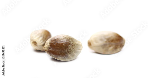 Hemp seeds macro isolated on white background