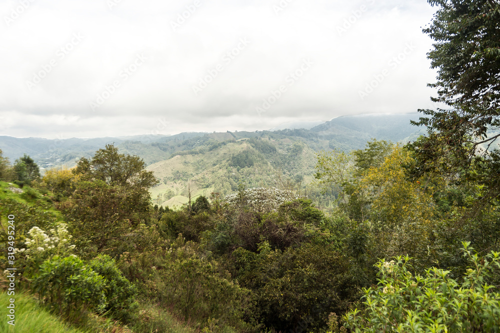 Fototapeta premium Sceneries of Lookout of Salento “Alto de la Cruz” in Quindio, Colombia.
