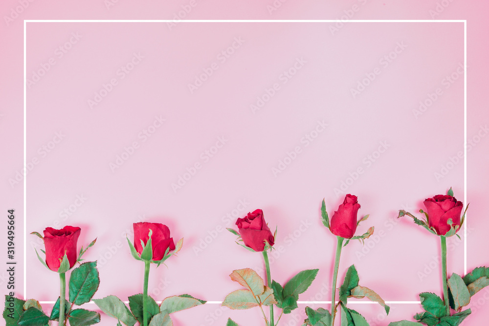 flat lay decorate design for valentine's day with red rose on pink pastel background and copy space flat lay decorate design for valentine's day with red rose on pink pastel background and copy space
