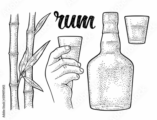 Glass and bottle of rum with sugar cane. Engraving