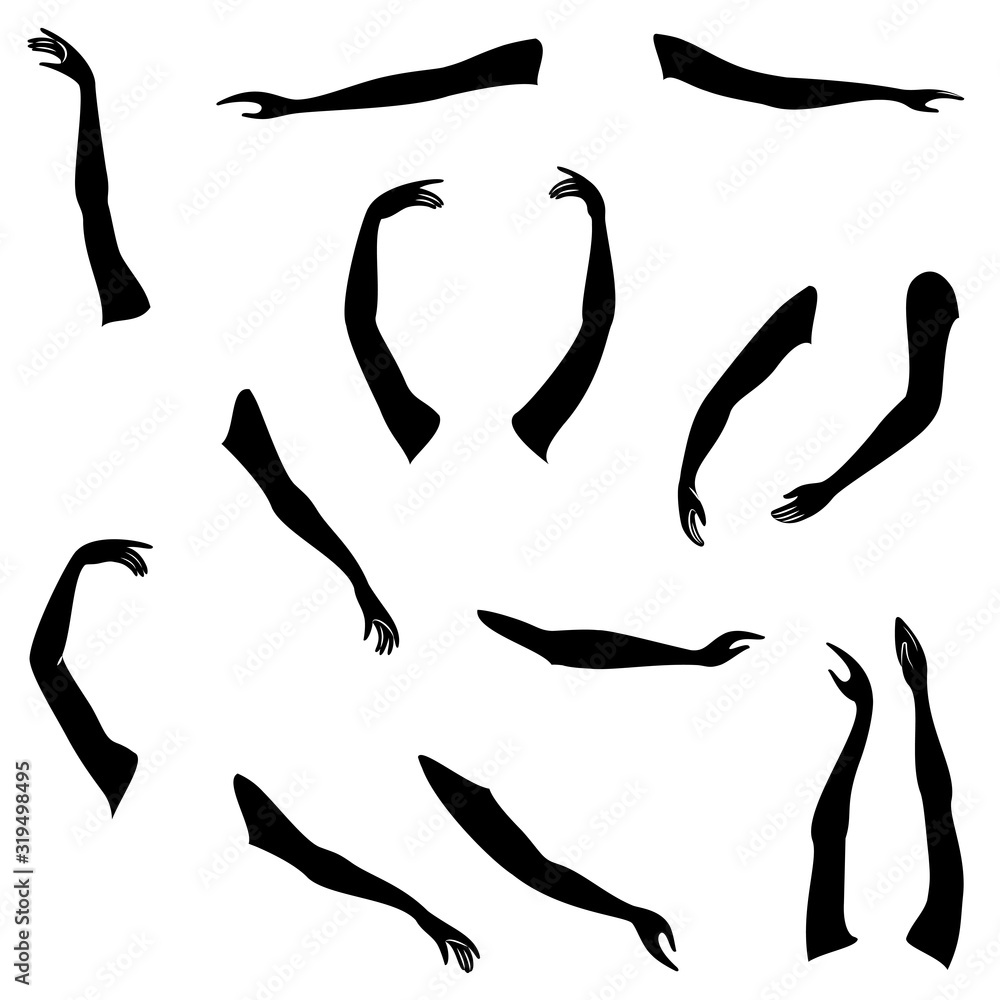 Women s hands. Beautiful graceful silhouettes. Collection. Vector illustration of a set.