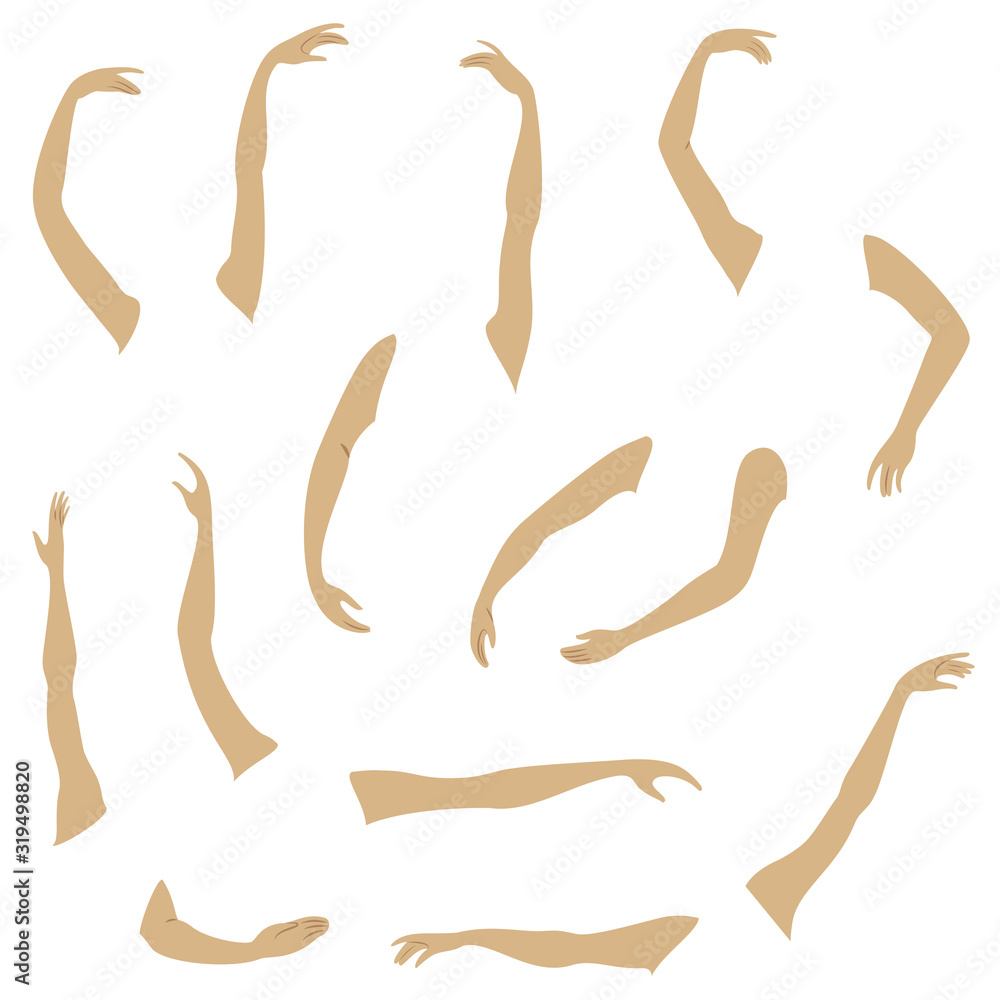 Women s hands. Beautiful graceful silhouettes. Collection. Vector illustration of a set. Women s hands. Beautiful graceful silhouettes. Collection. Vector illustration of a set.