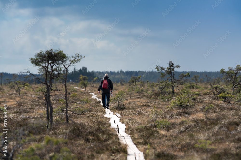 National park bog and marshland dramatic landscape - Store Mosse National Park in Smaland Sweden - Must visit traveling in Sweden.