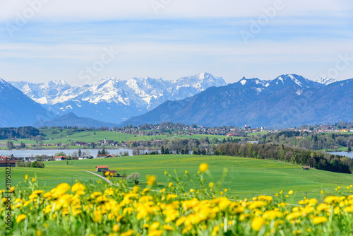 Am Riegsee im oberbayrischen Alpenvorland - Blick in die schneebedeckten bayrischen Alpen