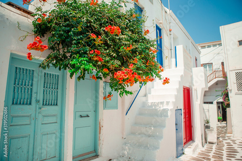 Fototapeta Naklejka Na Ścianę i Meble -  Traditional houses withe blue doors in the narrow streets of Mykonos, Greece.