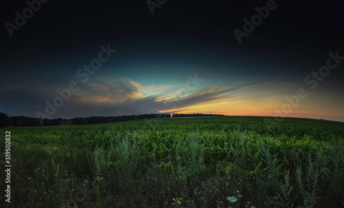  late sunset on summer corn field