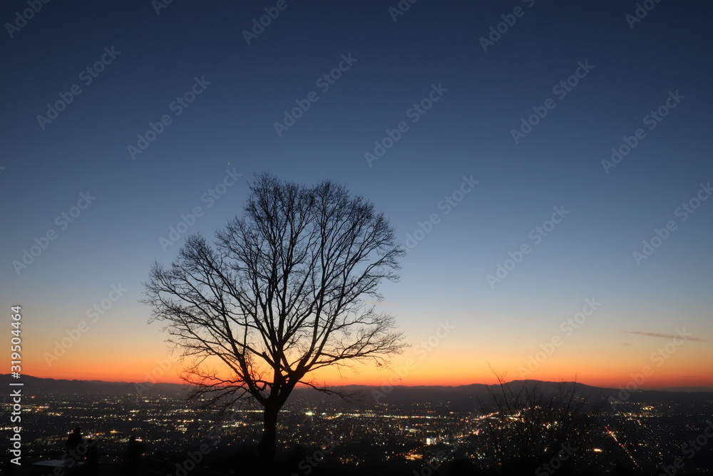 Fototapeta premium 若草山からの夕日