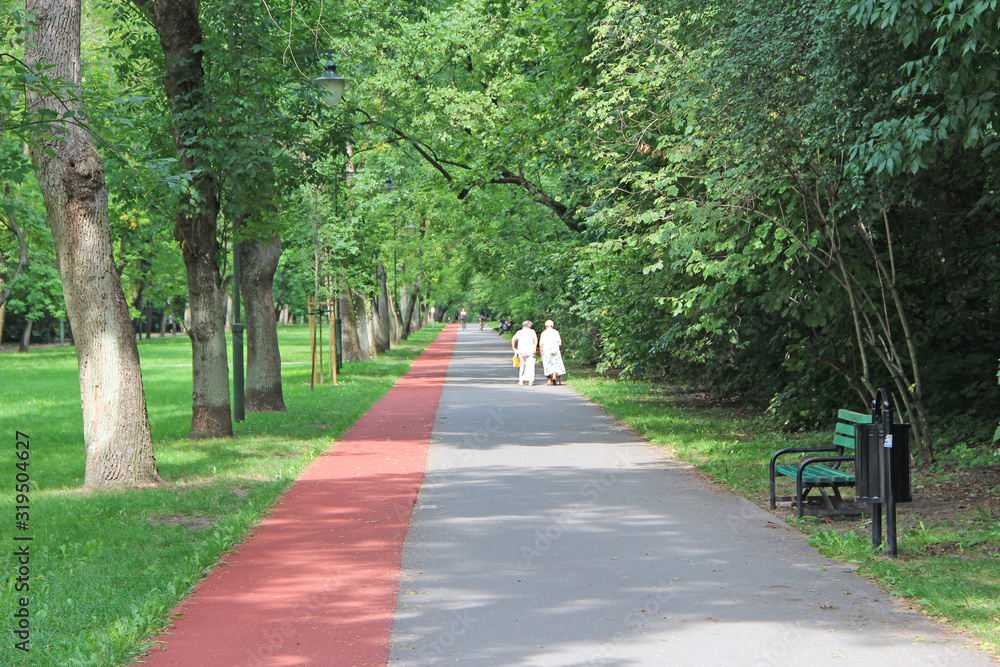 Obraz premium Summer park with pathway and treadmill between green trees
