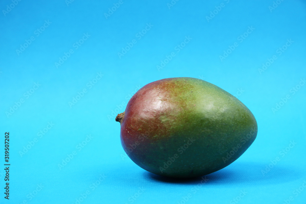mango isolated on blue background mango isolated on blue background