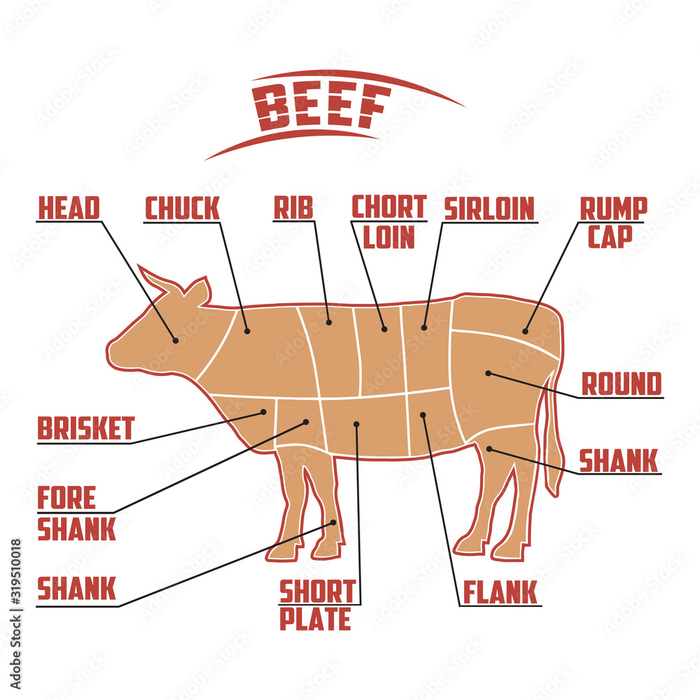 meat diagram of a cow, silhouette of a cow, beef cutting scheme Stock