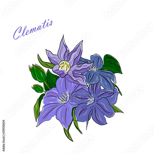 Hand drawing isolated floral illustration with Delicate lilac clematis flower,leaves,branches and flowers.summer garden flowers.Elements for greeting,wedding card.Sketch, Linart,botanical illustration photo