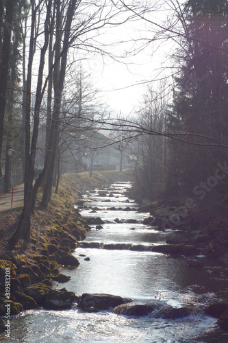 Frost im bayrischen Wald