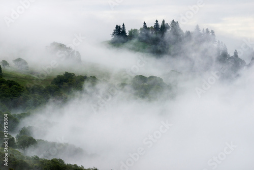 View of fog over mountain in Redwood National and State Park photo