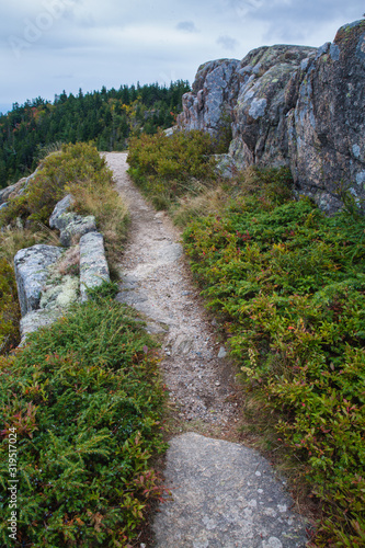 Weathered Granite and Scenic View  Beech Mountain Trail in Acadia National Park  Mount Desert Island  Maine