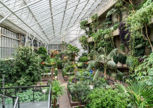 Beautiful greenhouse Conservatory garden insinde Barbican center,  with green and fresh tropical plants in London, UK photo