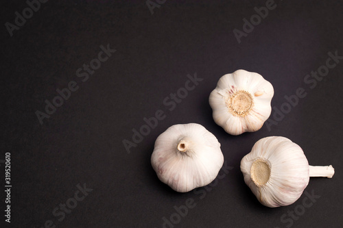 Garlic isolated on plain black background.Copy space.