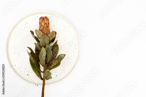 Dried postcard on a white ceramic dish as a concept postcard