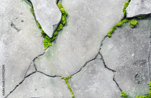 Green grass grows in the cracks of a concrete wall.