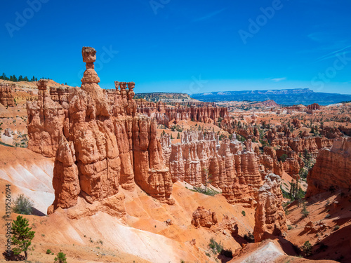 The Bryce Canyon national park in Utah, United States. Bryce is a collection of giant natural amphitheaters distinctive due Hoodoos geological structures
