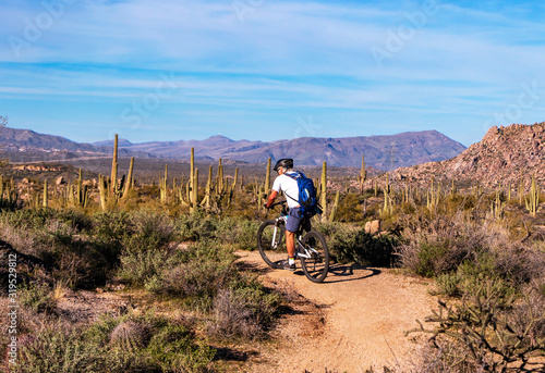 Mountain Biker on Desert Trail In Arizona With Cactus