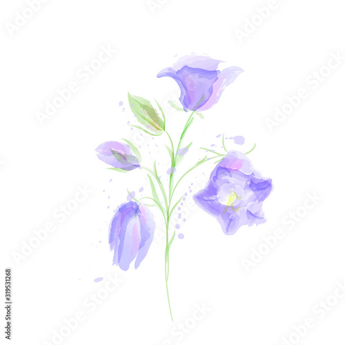 Set of blue bell flowers with leaves and buds. Imitation of watercolor, hand drawing, isolated on white background