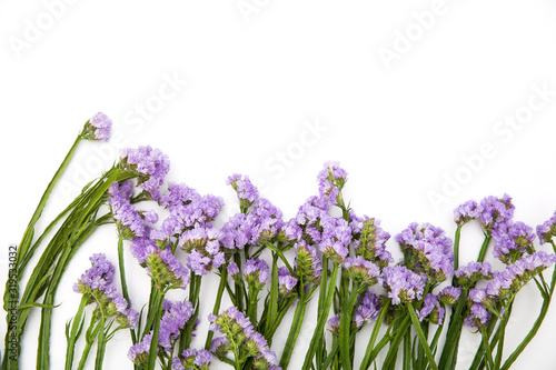 beautiful colorful fresh statice flower bouquet on the white background