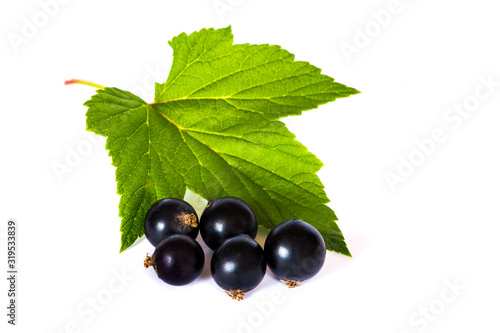 Branch of currants with fruits and leaves on a white isolated background_