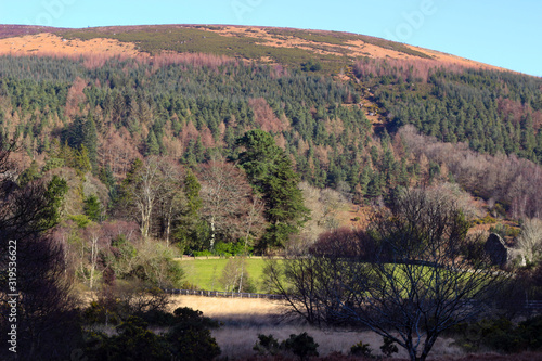 Sally Gap in Wicklow Mountains