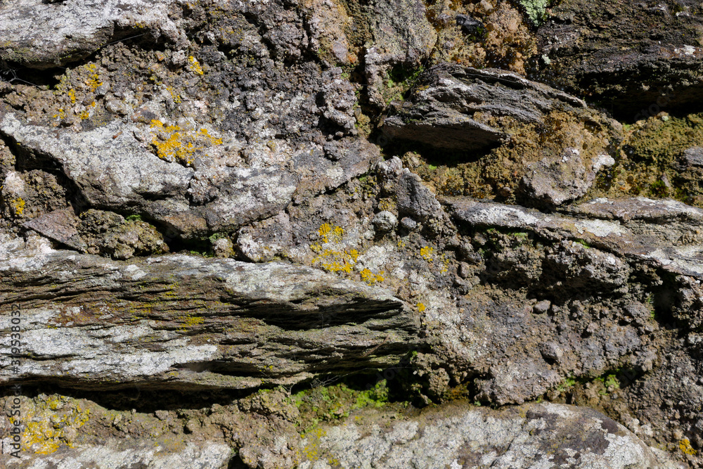 The lichens and moss as background old rock texture
