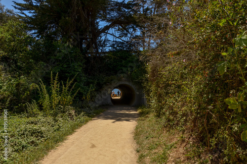 sandy hiking trail to McWay Falls at Julia Pfeiffer Burns State park (Big Sur, California) photo