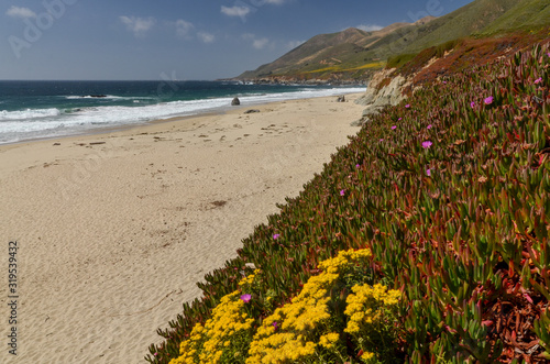 sand and rocks on Garrapata Beach (Big Sur, California)