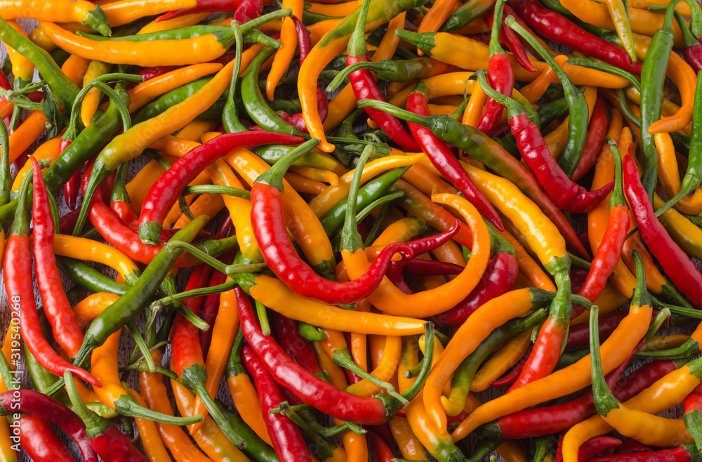Many small bright yellow, green and red pepper pods Many small bright yellow, green and red pepper pods