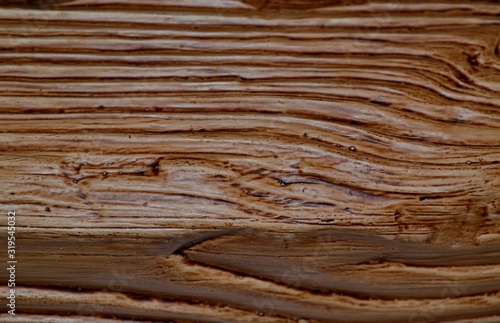 background textured design wood pattern