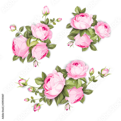 Vintage flowers set over white background. Wedding rose flowers bundle. Flower collection of watercolor detailed hand drawn roses. Decorative vintage rose and bud. Vector illustration. © Kotkoa