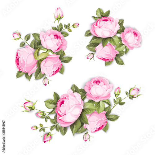 Vintage flowers set over white background. Wedding rose flowers bundle. Flower collection of watercolor detailed hand drawn roses. Decorative vintage rose and bud. Vector illustration.