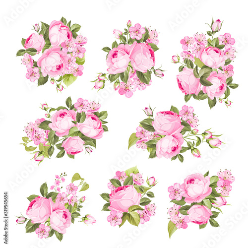 Vintage flowers set over white background. Wedding rose flowers bundle. Flower collection of watercolor detailed hand drawn roses. Vector set of blooming flowers for your design. Vector illustration.