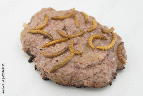 Burger with endible worm in white background photo