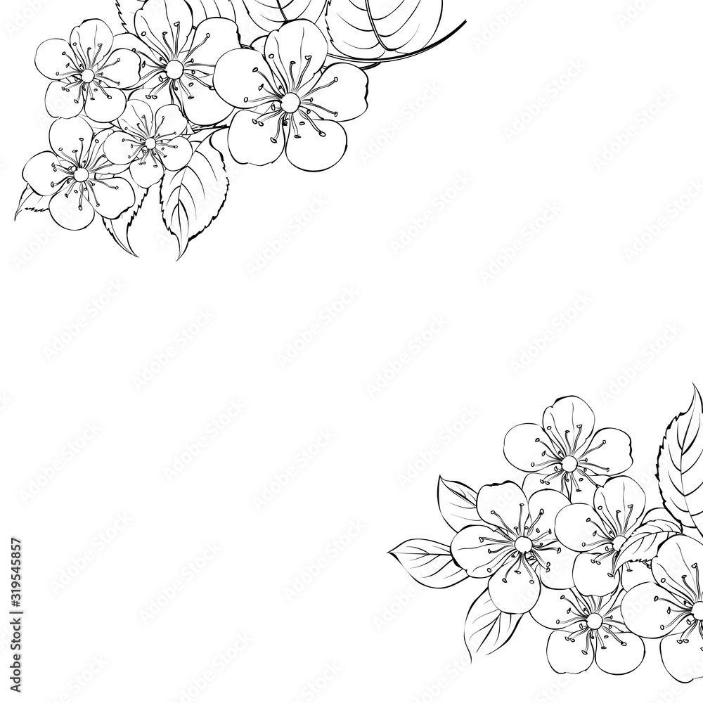Calligraphy cherry blossom. Cute hand drawn isolated sakura branch. Sacura isolated over white. Branch of Japanese cherry blossoms with beautiful flowers. Vector illustration.